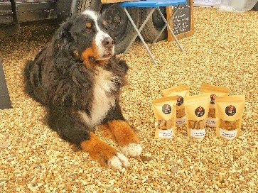 Supplying treats for Furry Campers at Longmeadow Campsite